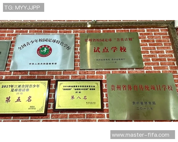 学校足球管理办法的实施与优化研究促进校园足球健康发展的新路径